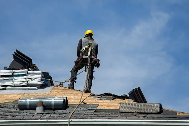 Professional Roof Replacement technician working in Williamsburg, FL
